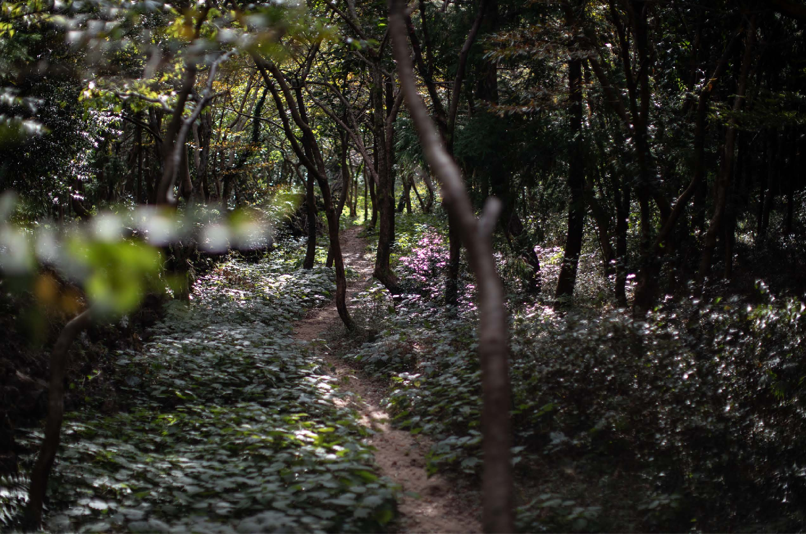이미지명